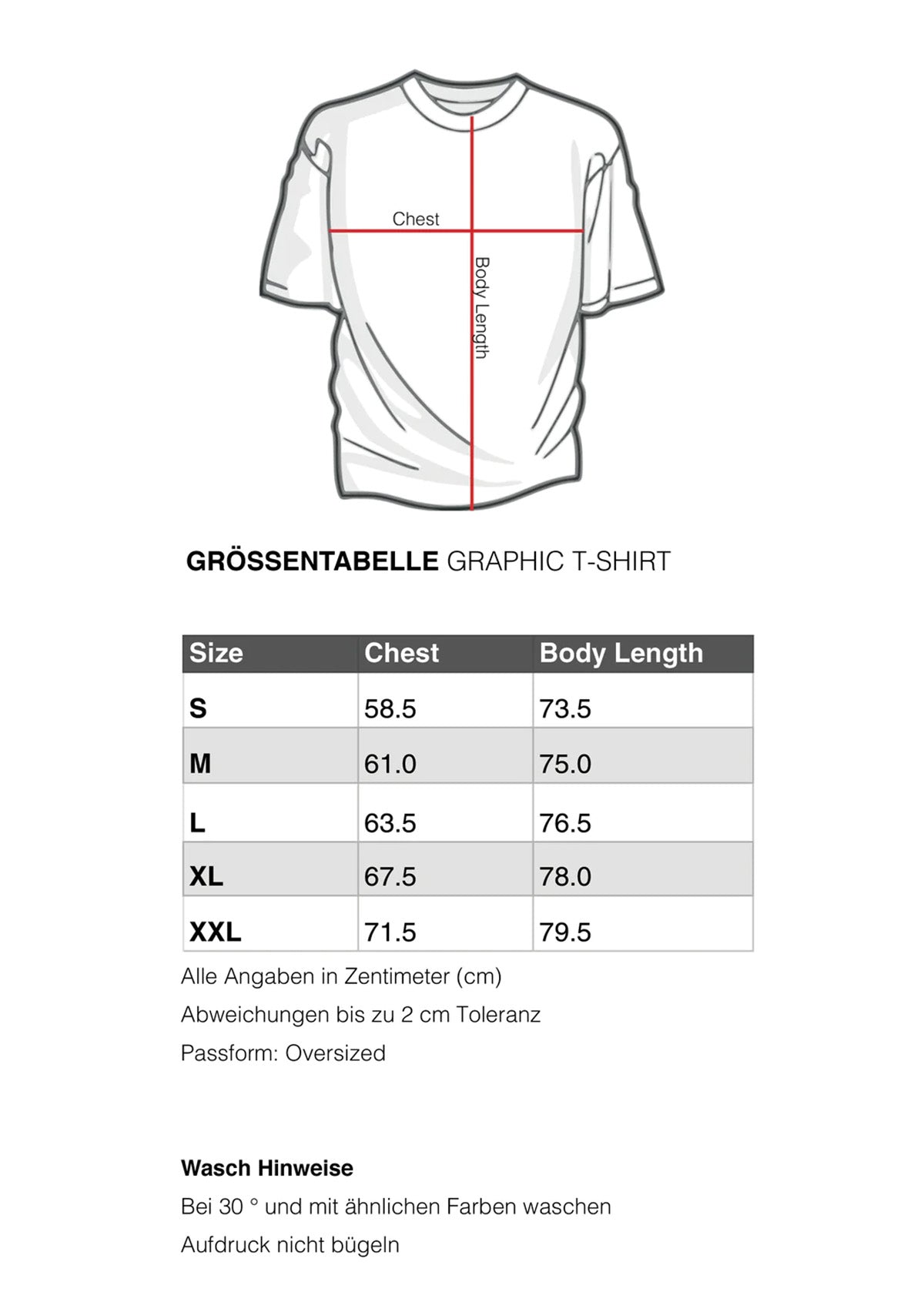 Grey Graphic Tee - True Die 361